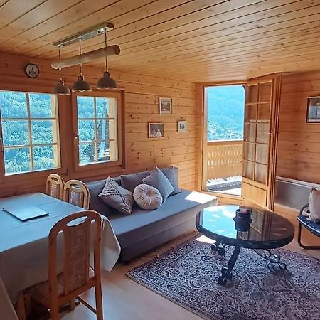 Chalet 3 Pieces De Caractere Mayoux Eksteriør billede