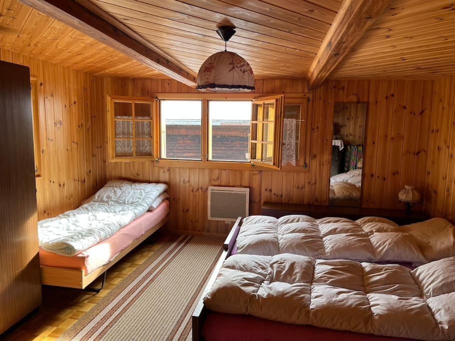 Chalet 3 Pieces De Caractere Mayoux Eksteriør billede